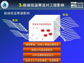 科技赋能未来 第六届新技术推广会掀起创新热潮