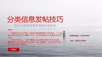 深圳扑来猫小湖科技推广软件 功能、试用与价格全面解析